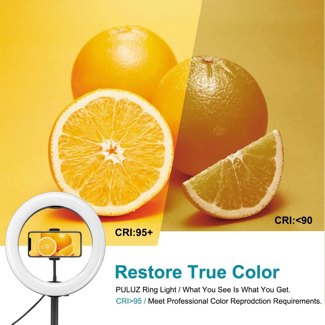 10.2 Dual-colour Led Ring Light with Usb Bluetooth Remote and Phone Holder