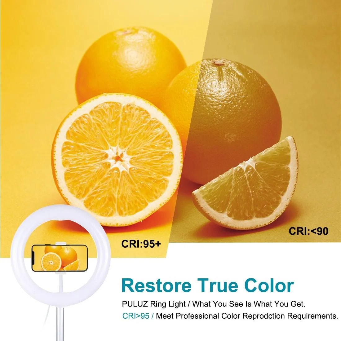 10.2 Dual-colour Led Ring Light with Usb Bluetooth Remote and Phone Holder