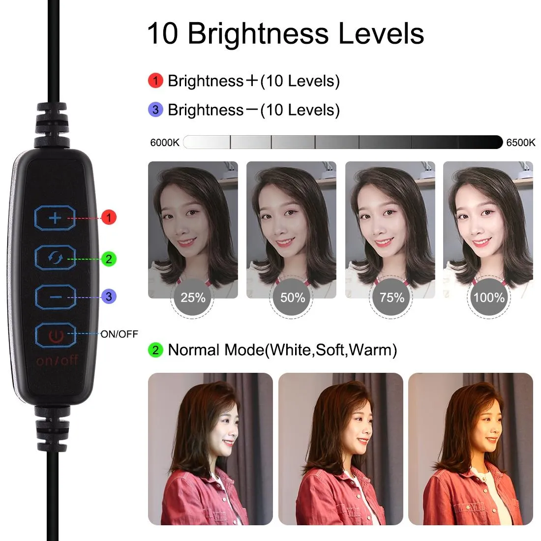 10.2 Dual-colour Led Ring Light with Usb Bluetooth Remote and Phone Holder