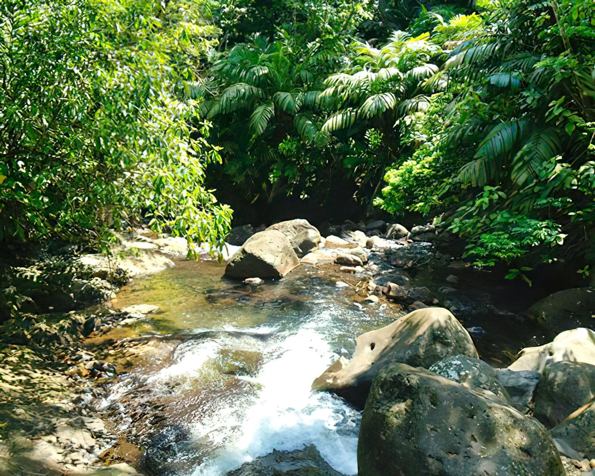 El Tucano Resort and Thermal Spa
