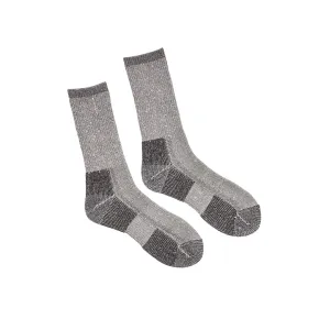 Polar Paws | Socks