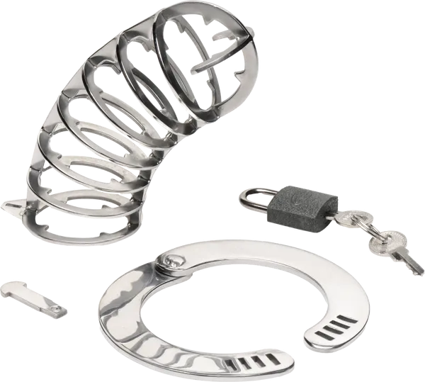 Xr Brands Stainless Steel Spiked Chastity Cage